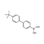 [4'-(2-Methyl-2-propanyl)-4-biphenylyl]boronic acid