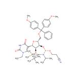 N1-Ethyl-2'-O-TBDMS-5'-O-DMTr-3'-phosphoramidite