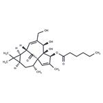 Ingenol 3-Hexanoate