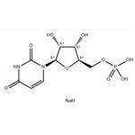 Uridine 5′-monophosphate disodium salt  pictures