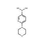 2-(Morpholino)pyridin-5-yl boronic acid
