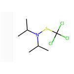 N,N-Diisopropyl-S-(trichloromethyl)thiohydroxylamine