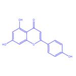 Apigenin