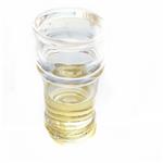 2-PHENOXYETHYL METHACRYLATE