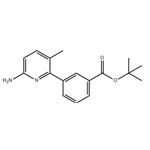 3-(6-Amino-3-methyl-pyridin-2-yl)-benzoicacidtert-butylester