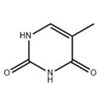 Thymine