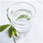 ETHYLENE GLYCOL MONO-TERT-BUTYL ETHER