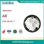 Adenosine Ar