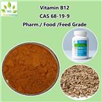 Vitamin B12