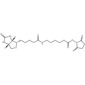Succinimidyl 6-(biotinamido)hexanoate