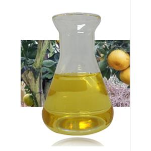 Grapefruit Oil