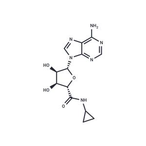5'-(N-Cyclopropyl)carboxamidoadenosine