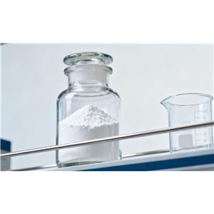 Ceramide NS