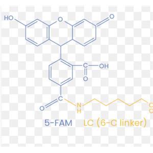 LL-37 (LL37)PEPTIDE