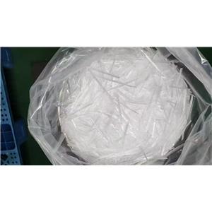 Testosterone Propionate