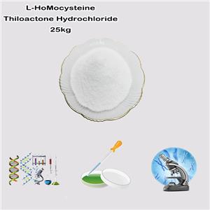 L-HoMocysteine Thiloactone Hydrochloride