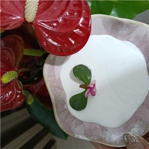 hyaluronic acid 5mg