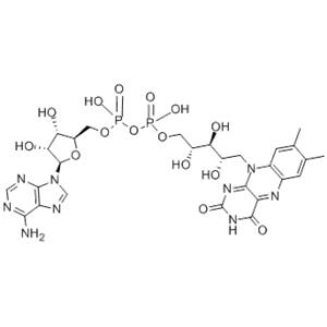 Flavin adenine dinucleotide