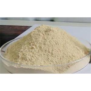 Ferric Pyrophosphate