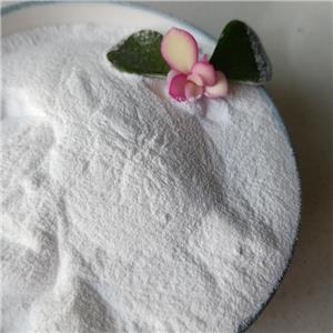 N-Acetyl Epitalon Amidate 5mg