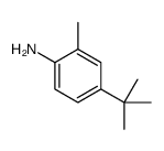 4-tert-butyl-o-toluidine
