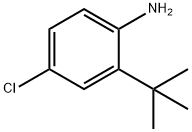 4-Chloro-2-(1,1-dimethylethyl)benzenamine