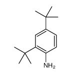 2,4-DI-TERT-BUTYLANILINE