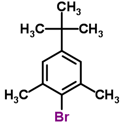 2-bromo-5-tert-butyl-1,3-dimethylbenzene