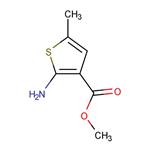 2-AMINO-5-METHYL-THIOPHENE-3-CARBOXYLIC ACID METHYL ESTER