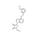N6-(m-Methoxybenzyl)adenosine