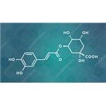 Chlorogenic Acid   
