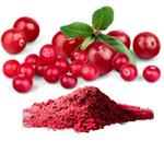 Blackberry Powder