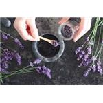 Lavender Extract
