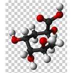 Chlorogenic Acid   