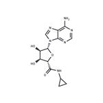 5'-(N-Cyclopropyl)carboxamidoadenosine