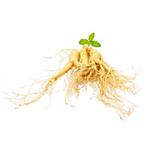 Siberian Ginseng Extract