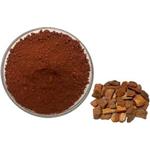 Pine Bark Extract