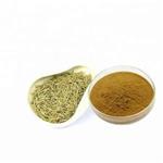 Ursolic Acid  