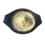 2-aminopropanediamide