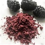 Blackberry Powder