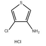 4-Chlorothiophen-3-amine hydrochloride