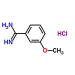 3-Methoxybenzamidine hydrochloride