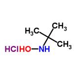 n-(tert-butyl)hydroxylamine hydrochloride