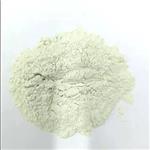 Ferrous Lactate