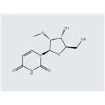 2'-O-Methyluridine