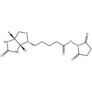 Biotin-NHS