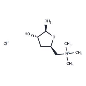 (±)-Muscarine chloride