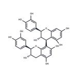 Procyanidin B3