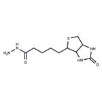 Biotin Hydrazide