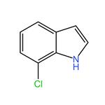 7-Chloroindole